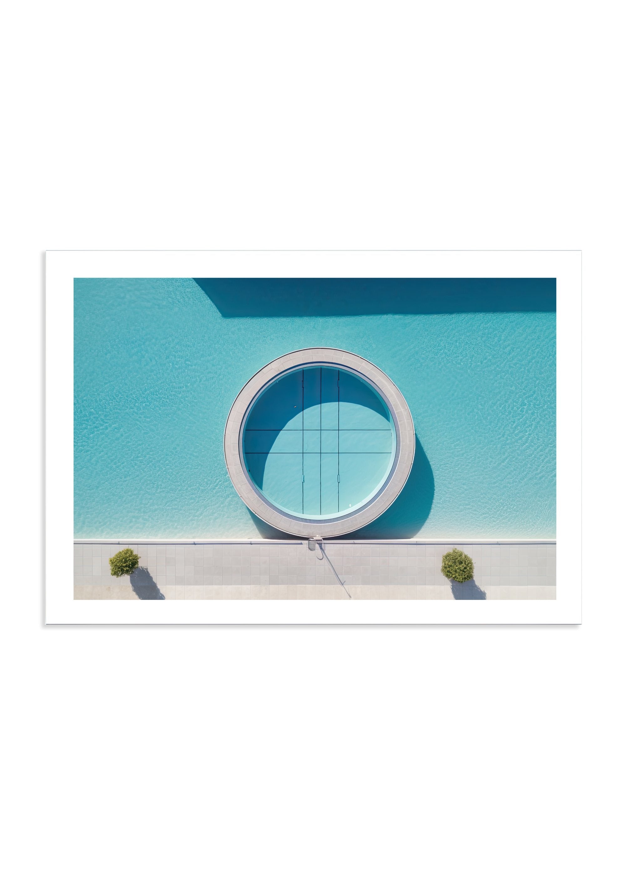 LAST RESORT *1 - DOTCOM ART