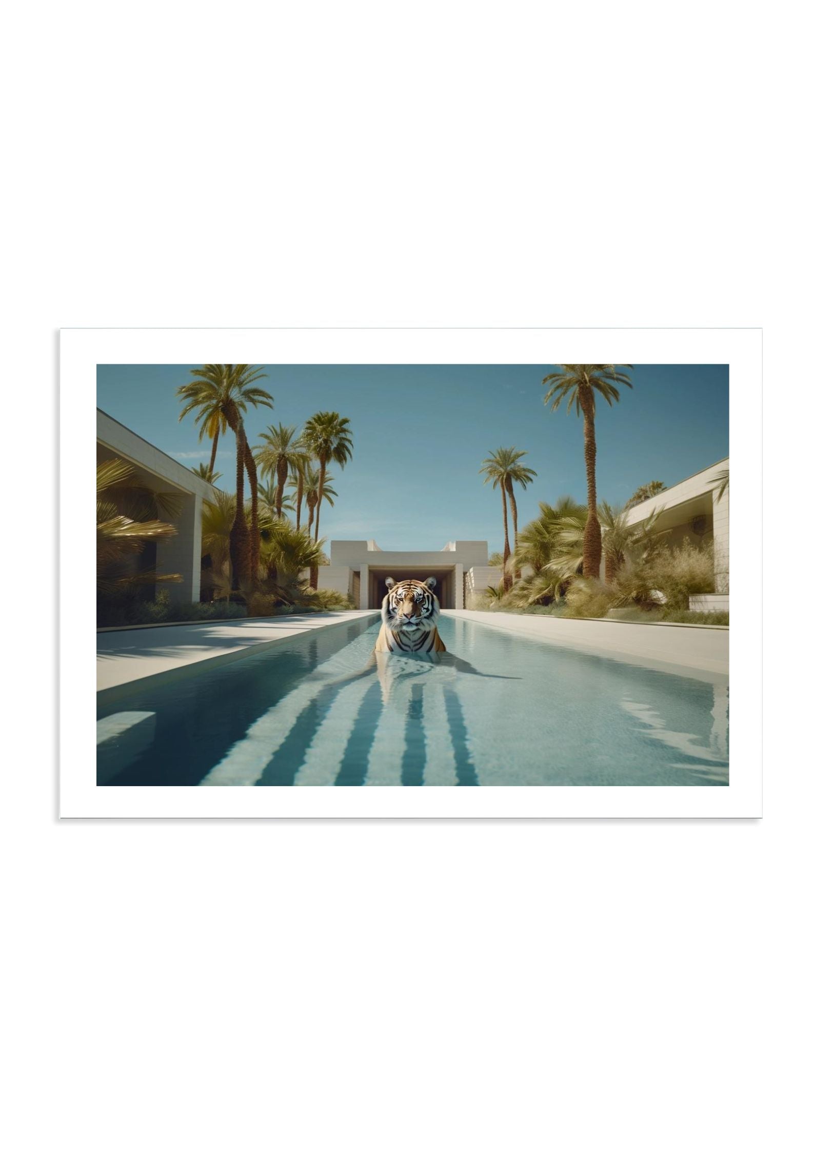 PRELUDE - DOTCOM ART