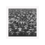 IMPOSTER - DOTCOM ART