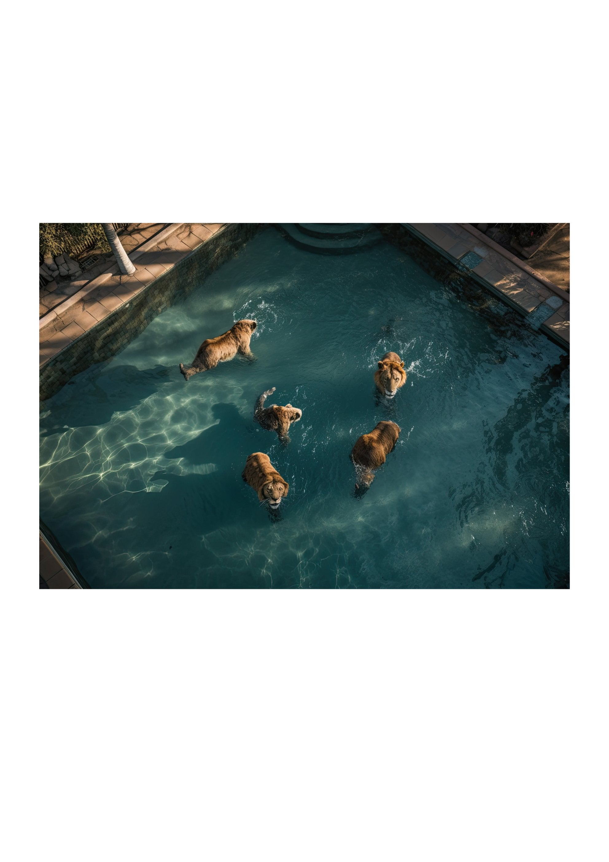 A LAZY SWIM *2 - DOTCOM ART