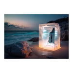 TAMARAMA - DOTCOM ART