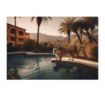 SKINNY DIPPING *1 - DOTCOM ART