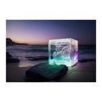 COLLAROY - DOTCOM ART