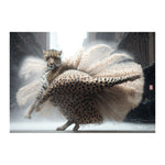 COPPELIA - DOTCOM ART