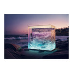 DEE WHY - DOTCOM ART