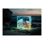 MONA VALE - DOTCOM ART