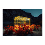 NUERO *1 - DOTCOM ART