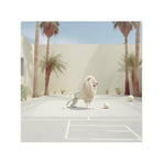 PLAYTIME - DOTCOM ART