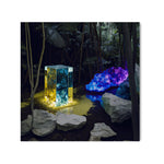 EXPANSE - DOTCOM ART