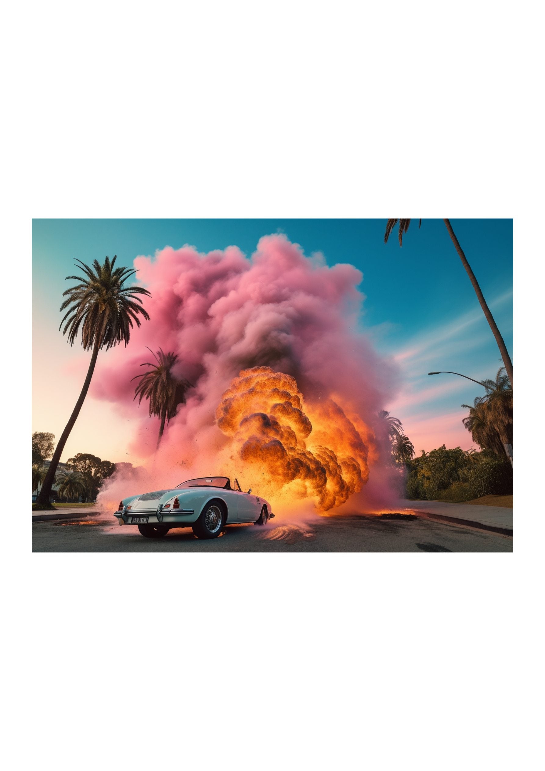 DOGTOWN *1 - DOTCOM ART