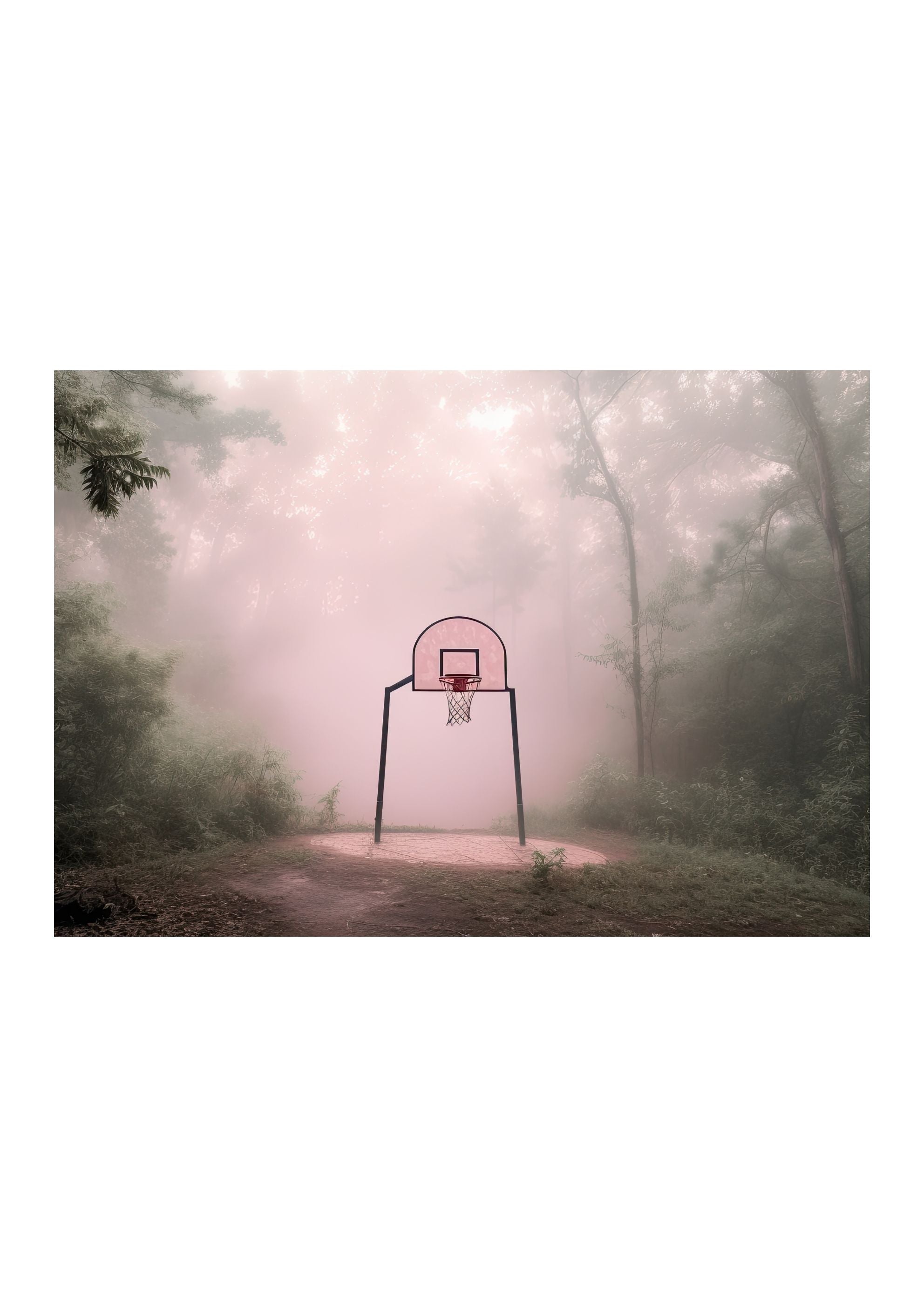 HOOPS *1 - DOTCOM ART
