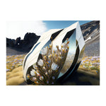 CHROME COCOON *1 - DOTCOM ART