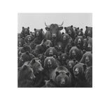 BY THE HORNS - DOTCOM ART