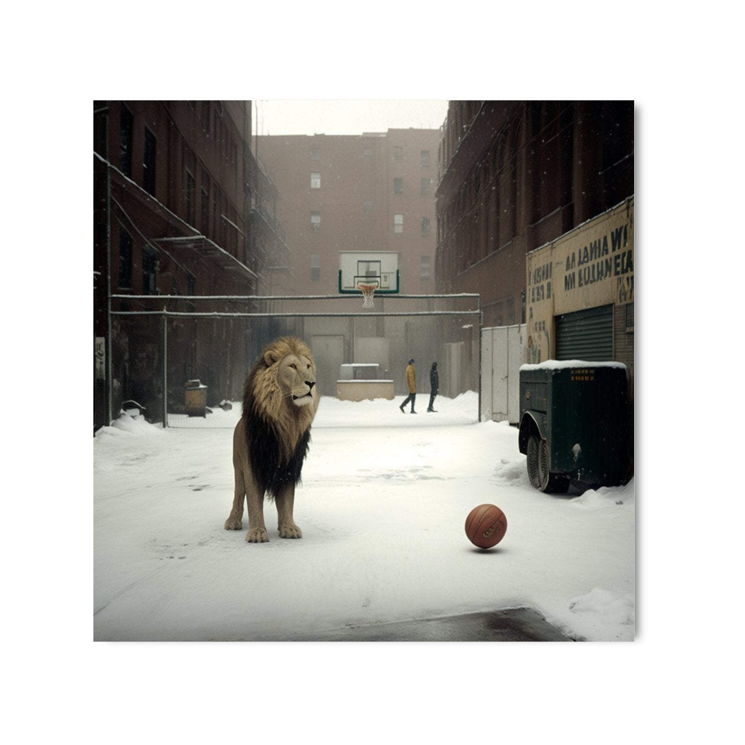 KING OF QUEENS *1 - DOTCOM ART