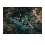 A LAZY SWIM *3 - DOTCOM ART