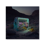 RHAPSODY *4 - DOTCOM ART