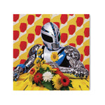 APOLLO - DOTCOM ART