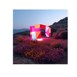 DESERT TRAFFIC LIGHT - DOTCOM ART
