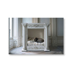 KITTY NAP - DOTCOM ART