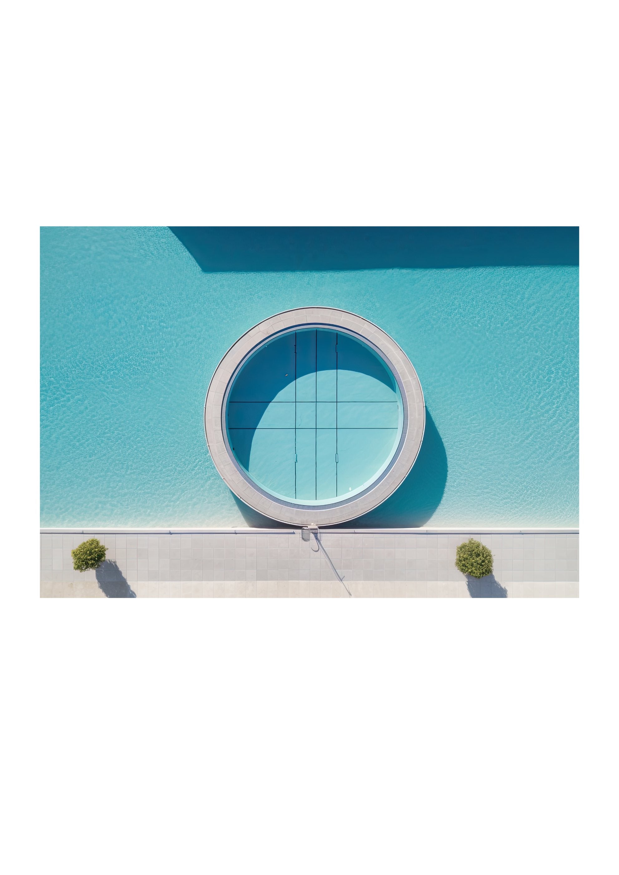 LAST RESORT *1 - DOTCOM ART