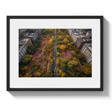 NYC FLORAL TAKEOVER - DOTCOM ART