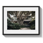 DOUBLE BAY TREE HOUSE - DOTCOM ART