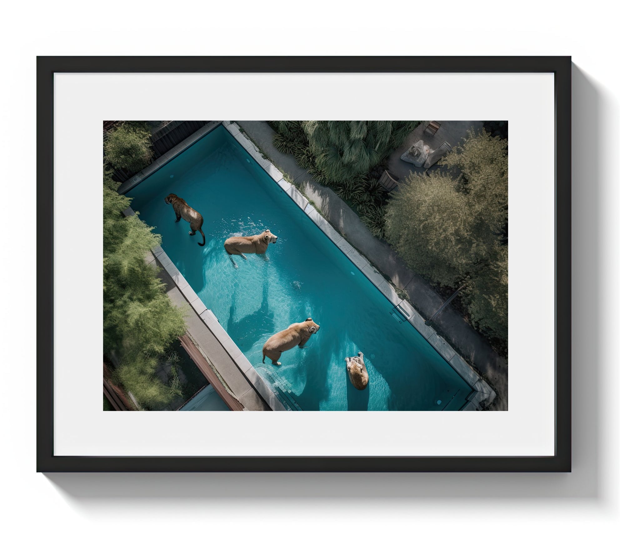 A LAZY SWIM *4 - DOTCOM ART
