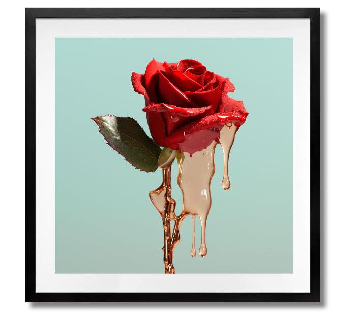 HONEY - DOTCOM ART