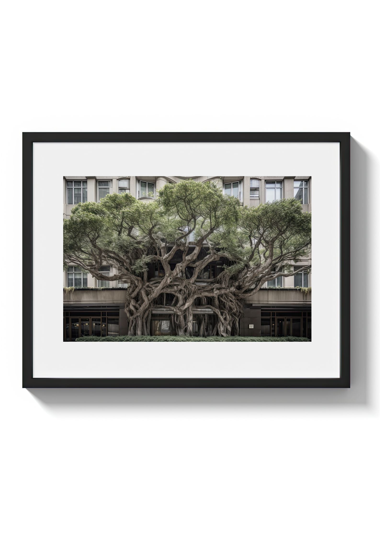 BROADWAY TREE HOUSE - DOTCOM ART