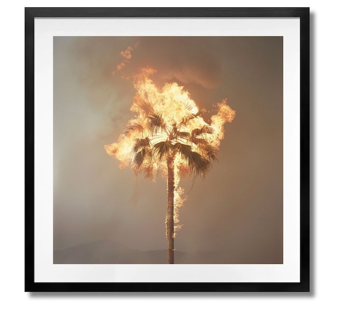PLAYA DEL CARMEN - DOTCOM ART