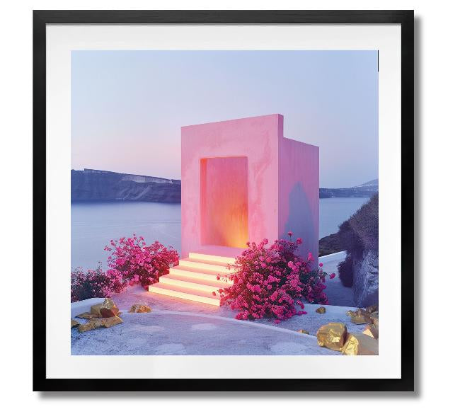WILD TERRITORY - DOTCOM ART