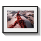 THE TRAIL *1 - DOTCOM ART