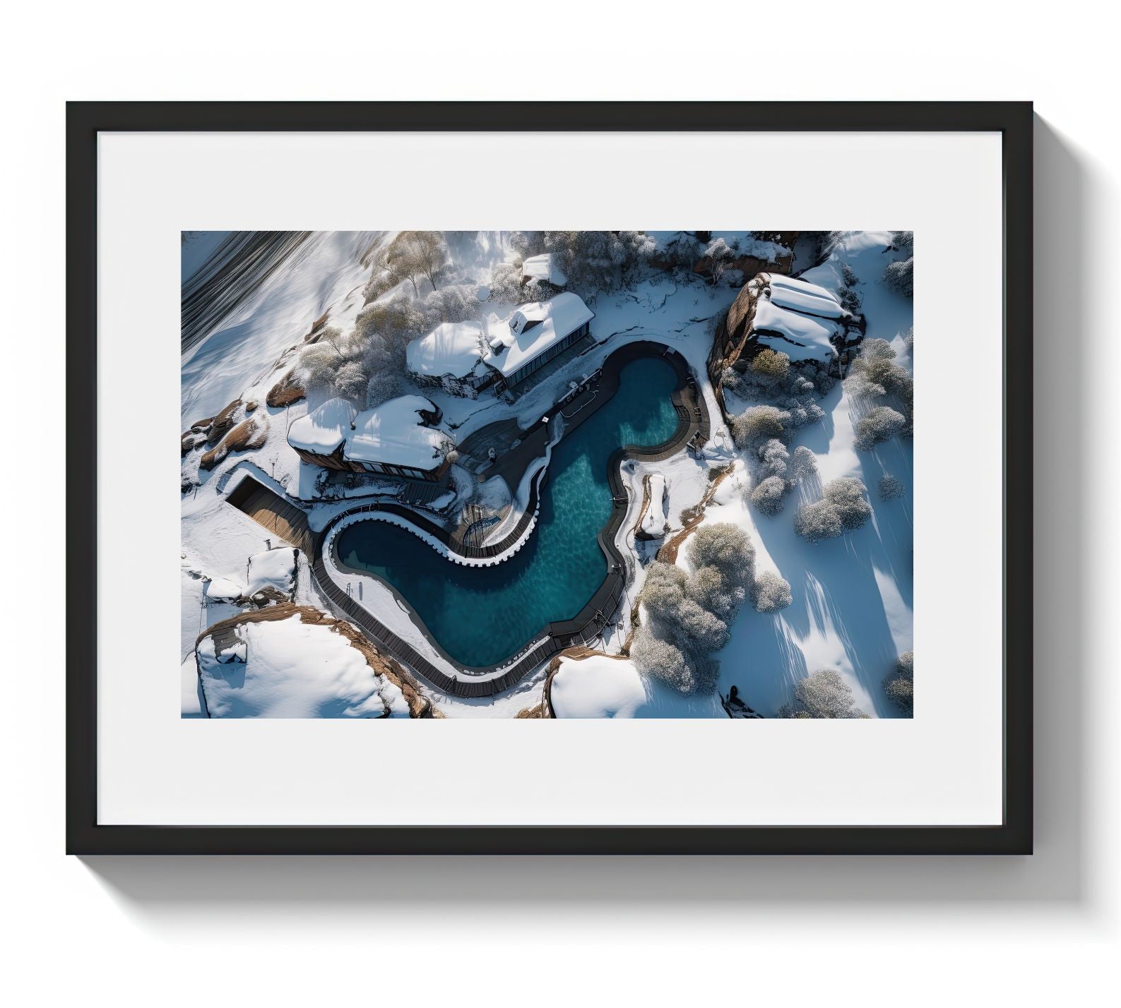 POLAR BEARS CLUB *2 - DOTCOM ART