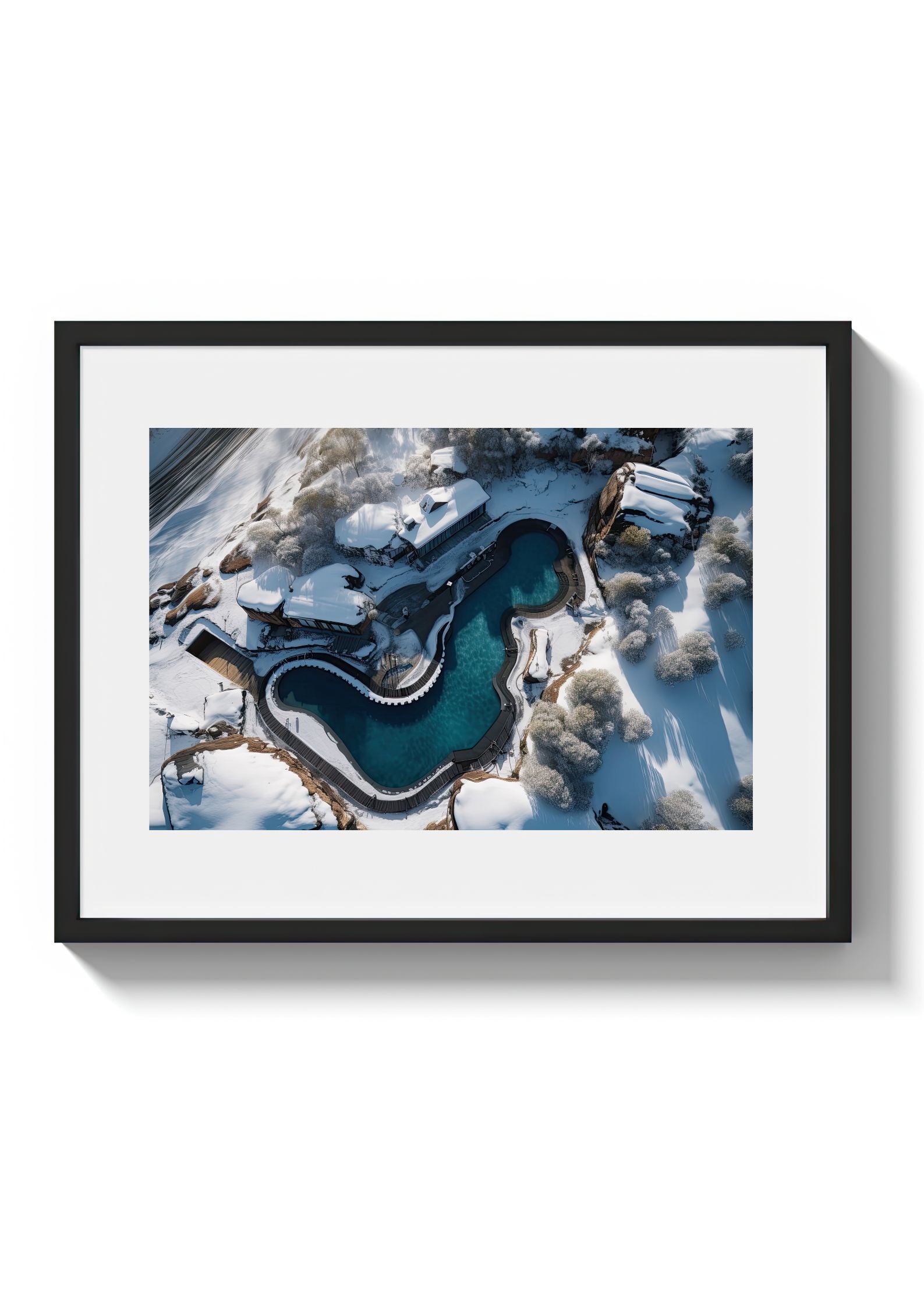 POLAR BEARS CLUB *2 - DOTCOM ART