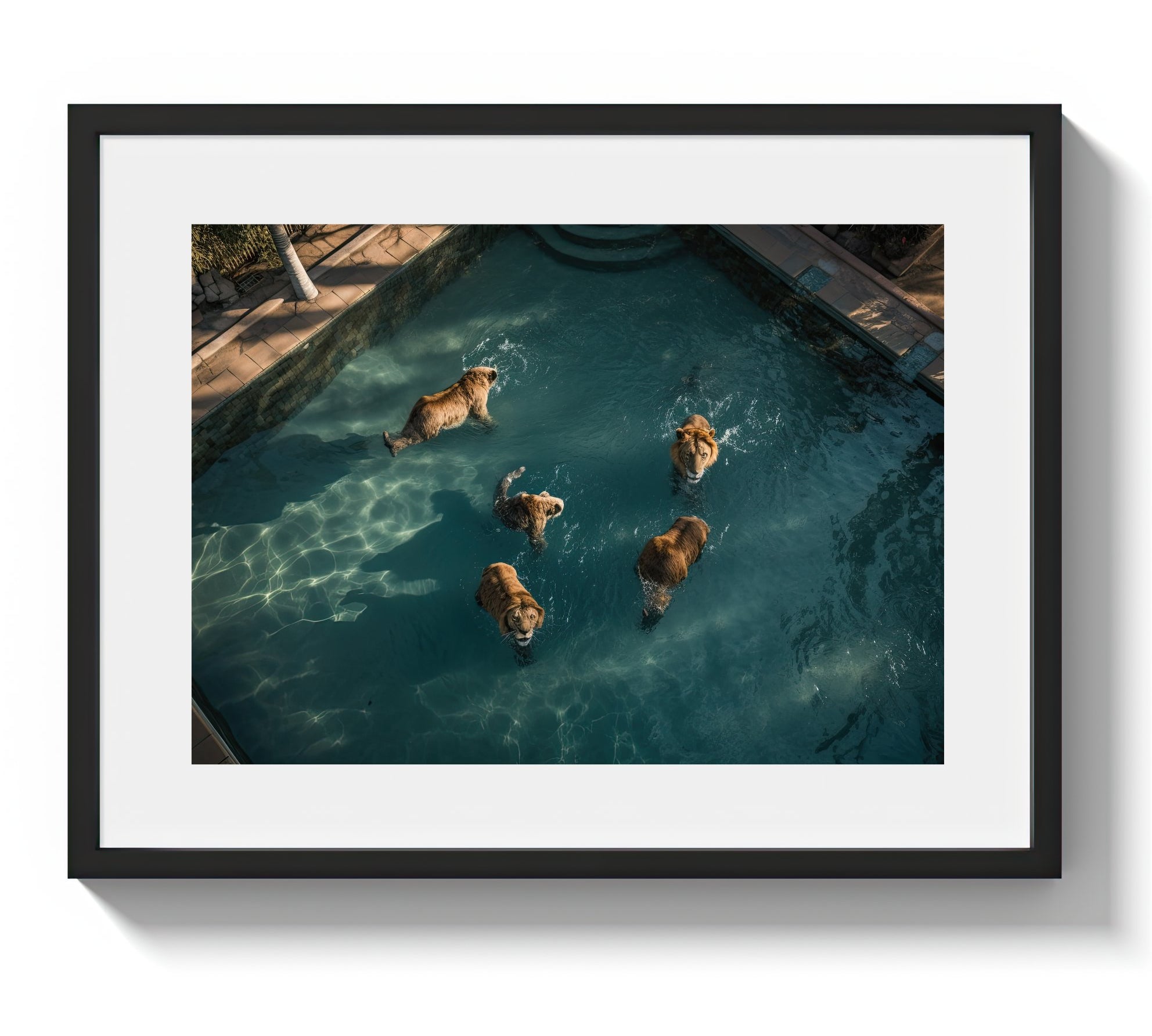 A LAZY SWIM *2 - DOTCOM ART