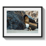 DESERT STING - DOTCOM ART