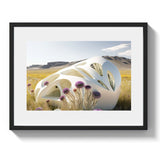 SPRING SHELL - DOTCOM ART