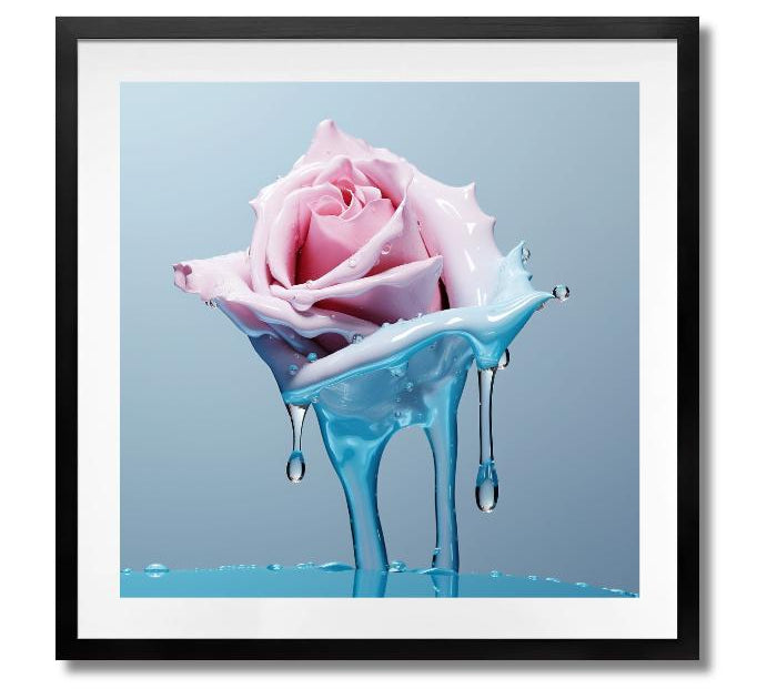 FREEZE - DOTCOM ART