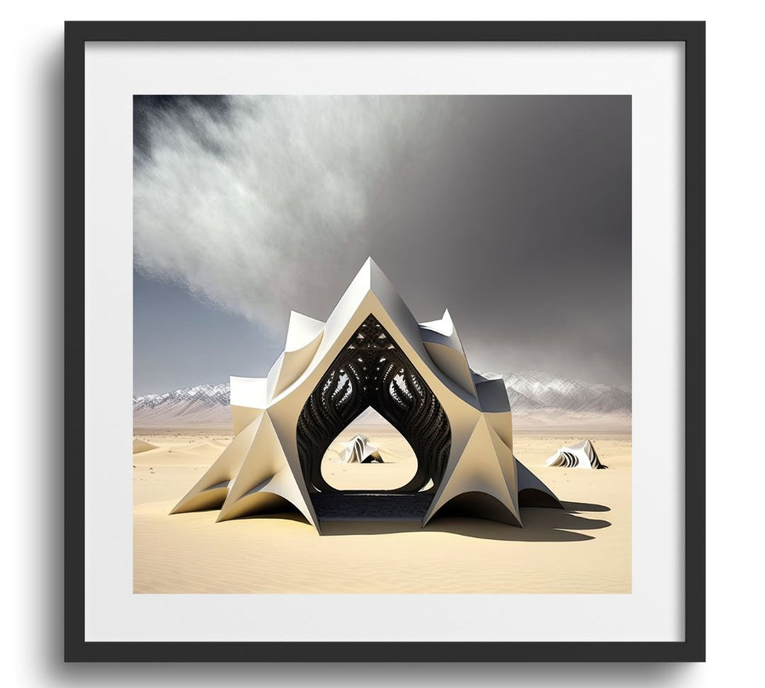 SHELTER - DOTCOM ART