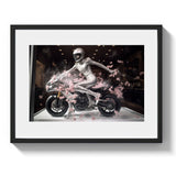 WINDOW SHOPPING *3 - DOTCOM ART