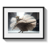 COPPELIA - DOTCOM ART
