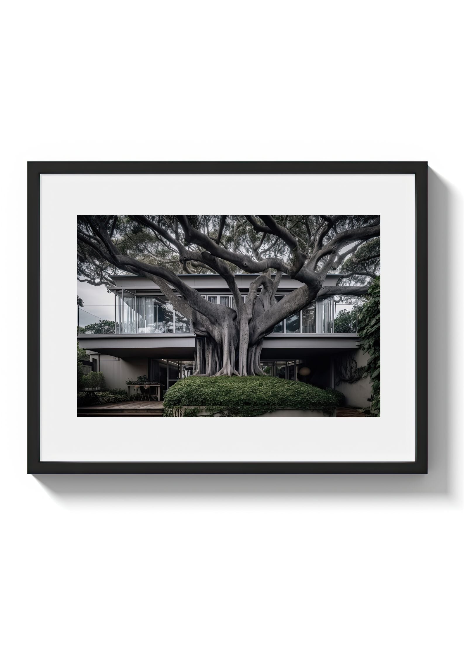 VAUCLUSE TREE HOUSE - DOTCOM ART