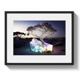 EUCALYPTUS *1 - DOTCOM ART