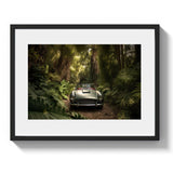 BACK ROADS TO SANTA CRUZ *1 - DOTCOM ART