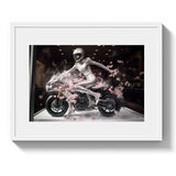 WINDOW SHOPPING *3 - DOTCOM ART