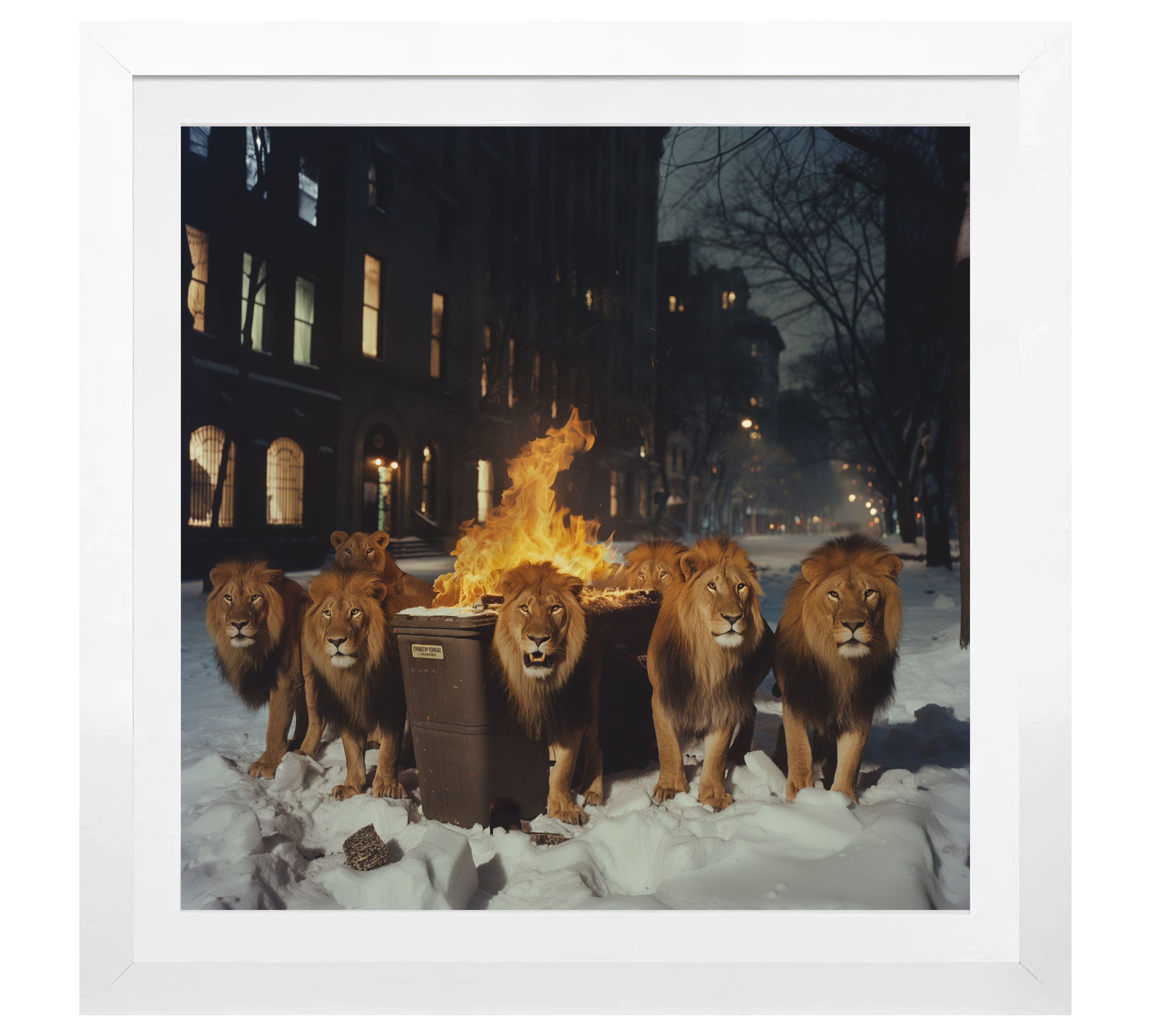 Urban jungle - DOTCOM ART