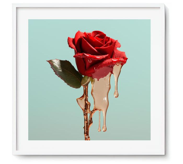HONEY - DOTCOM ART