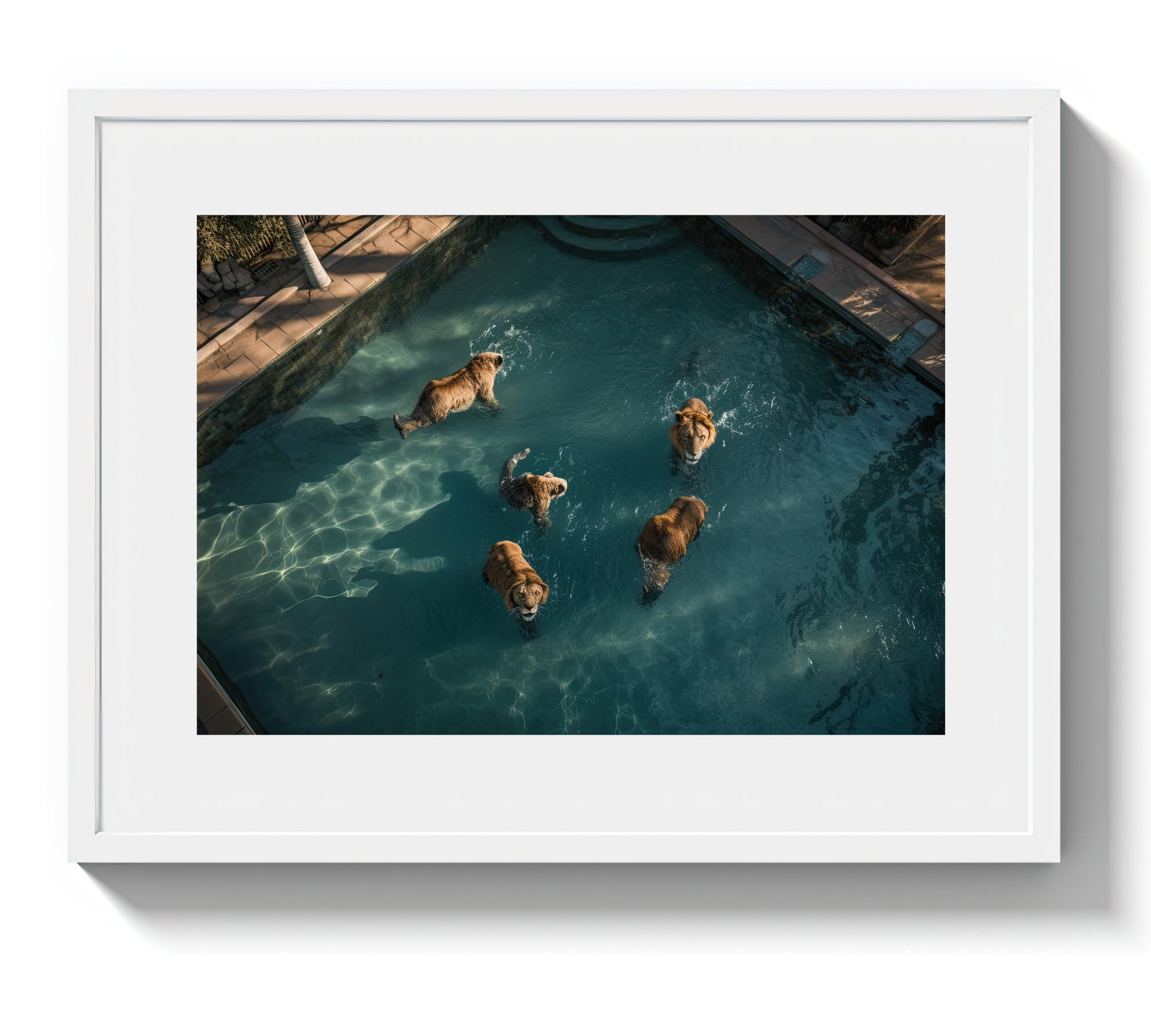 A LAZY SWIM *2 - DOTCOM ART