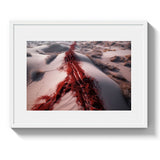 THE TRAIL *1 - DOTCOM ART