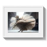 COPPELIA - DOTCOM ART